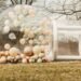 bubble house rental